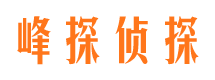 裕华市私家侦探